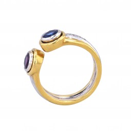 Ring mit einem Rubin und Saphir-K07620-Seitenansicht